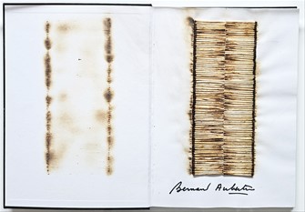 AUBERTIN Bernard. Livre Brul� Rosemberg 01