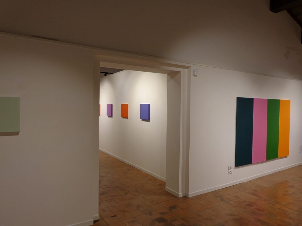 2018 SONIA COSTANTINI. Il colore oltre il colore. Palazzo Sarcinelli, Conegliano, a cura di Oltrearte