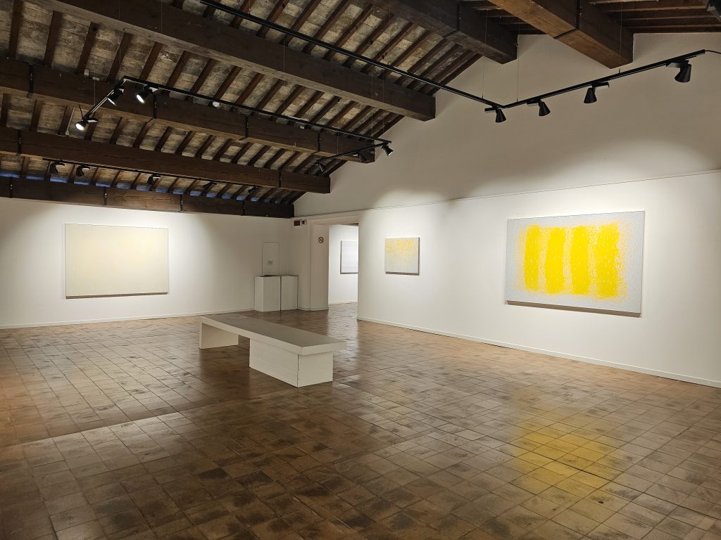 2024 VINCENZO SATTA. L’essenza del visibile. Palazzo Sarcinelli, Conegliano, OltreArte Galleria Contemporanea, Conegliano.