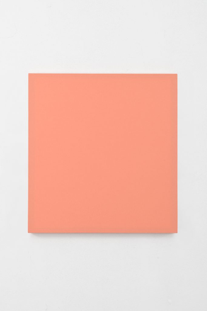 MD2-27 Rosa carnicino
