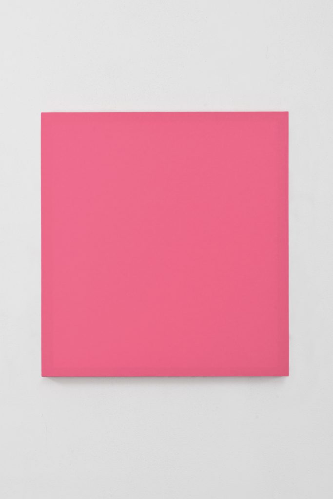 Sonia Costantini. BB3-16 Rosa magenta, 2003