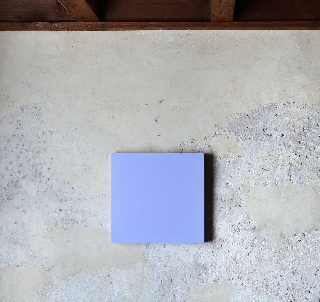 Sonia Costantini. DF3-13 Violetto, 2003