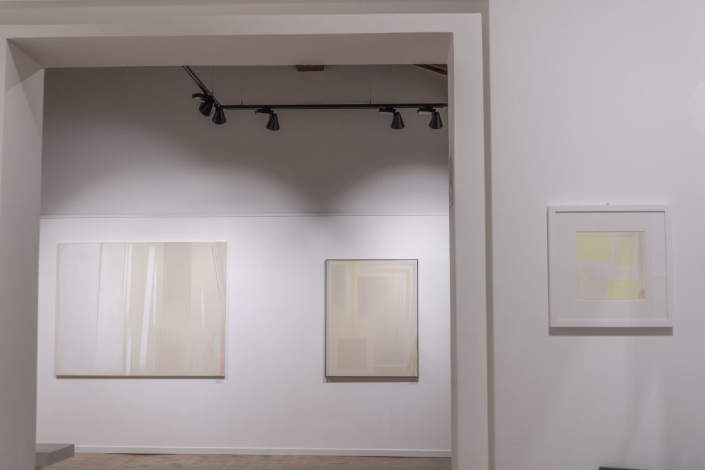 2018 RICCARDO GUARNERI. Variazioni del sentire. Palazzo Sarcinelli, Conegliano, TV, a cura di Oltrearte