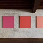 MD2-27 Rosa carnicino