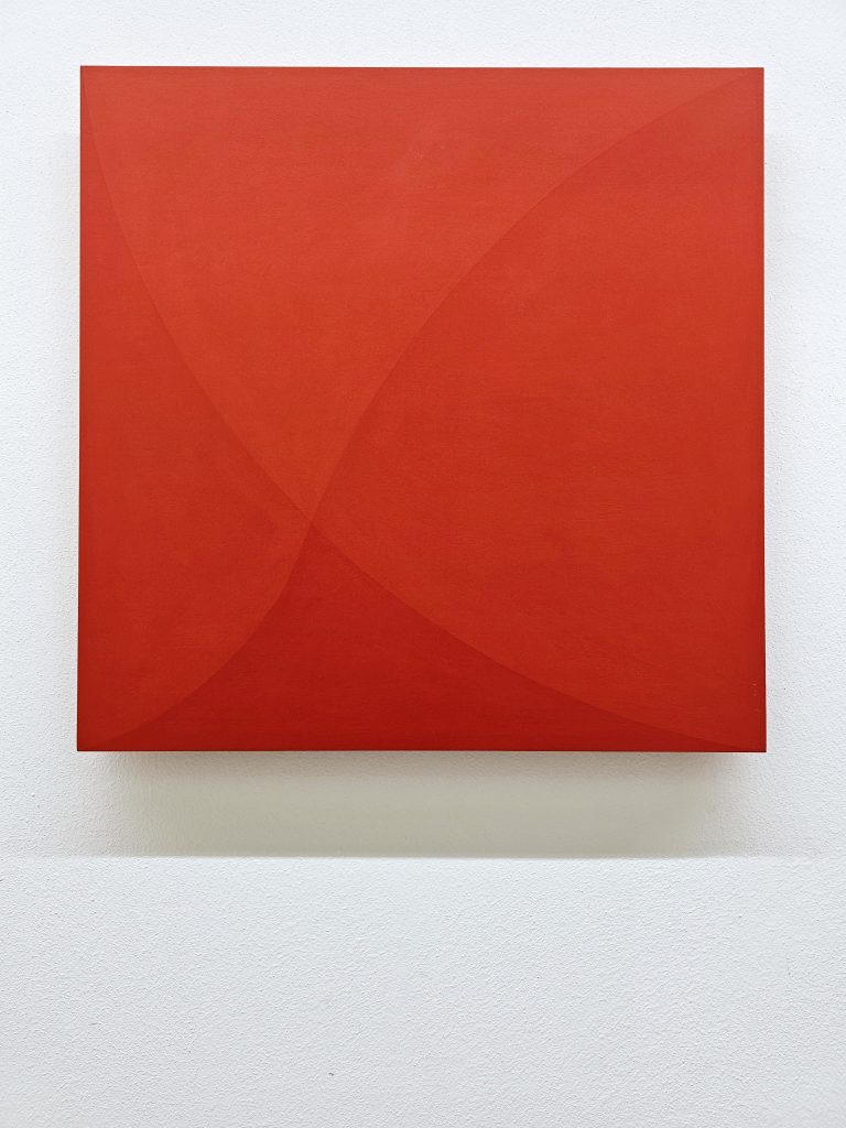 Immaginazione geometrizzante rosso n.626