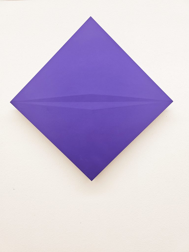 Compenetrazione cromoideata violaceo n.998