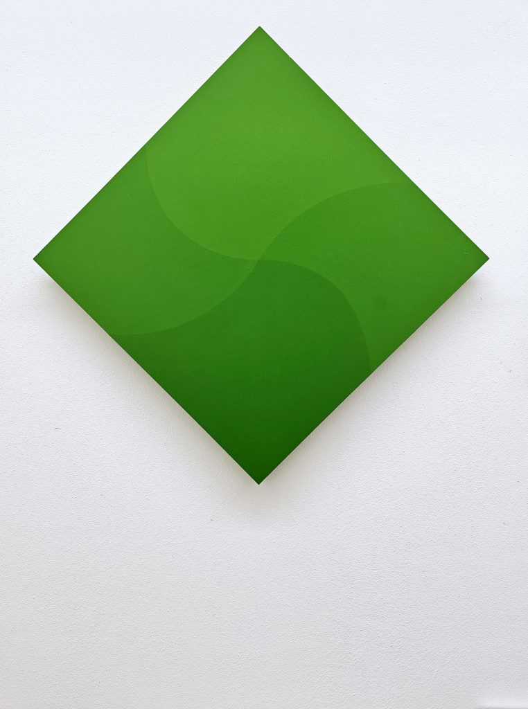 D3-1228 Immaginazione cromoideata verde