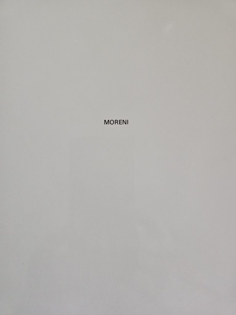 1986 MATTIA MORENI. O DELLA CONSAPEVOLEZZA DELLA REGRESSIONE DELLA SPECIE E DELLA SPECIE BELLE ARTI. Galleria Morone, Milano. Catalogo