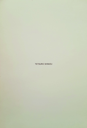 2000 TETSURO SHIMIZU. LA PERCEZIONE DELL’IMPERCETTIBILE. Galleria Morone, Milano. Catalogo
