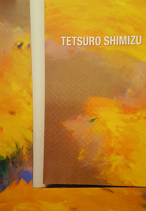 2001 TETSURO SHIMIZU. SPAZIO - PITTURA. Galleria Morone, Milano. Catalogo