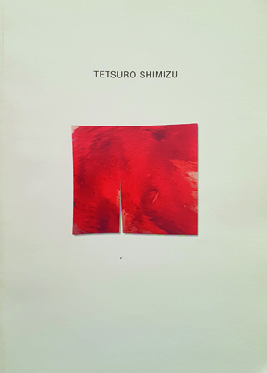 2002 TETSURO SHIMIZU. Galleria Morone, Milano. Catalogo