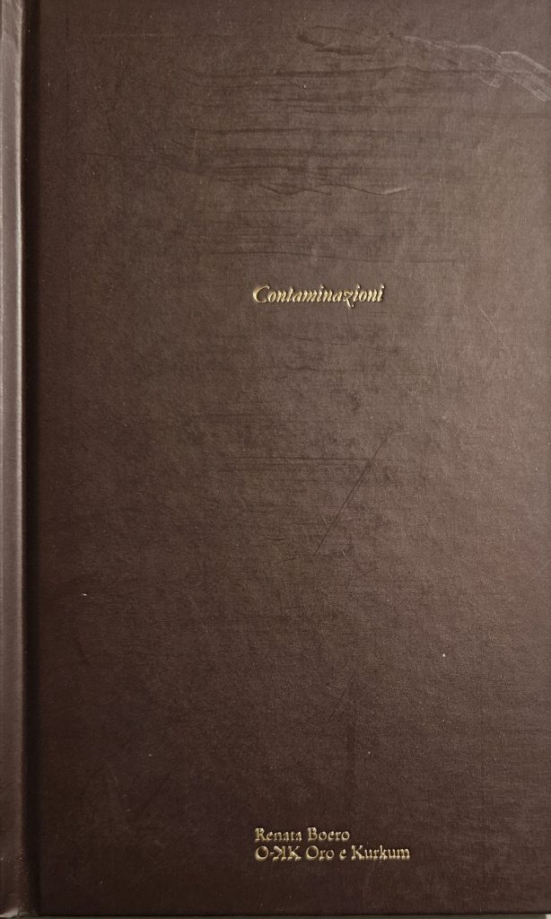 2014 RENATA BOERO. CONTAMINAZIONI. Museo Diocesano, Milano. Catalogo