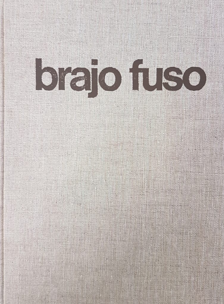 1976 BRAJO FUSO. A cura di Giulio Carlo Argan. Editalia. Catalogo