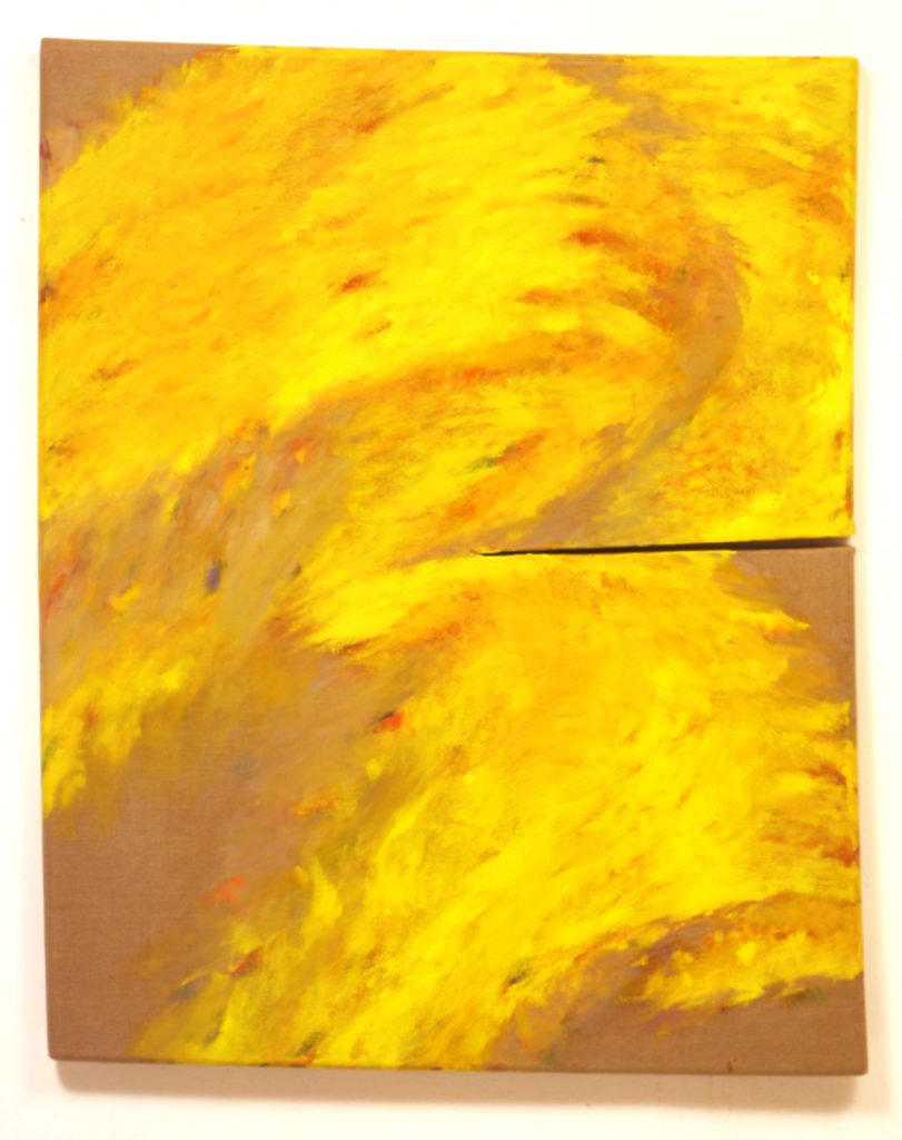 SHIMIZU Tetsuro. Vicissitudine